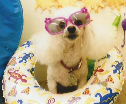 The Only Star in Our House