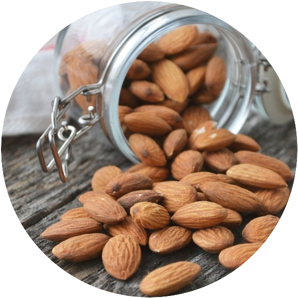 castanhas e nozes castanhas e nozes