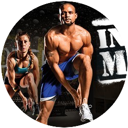 shaun t insanity max 30 shaun t insanity max 30