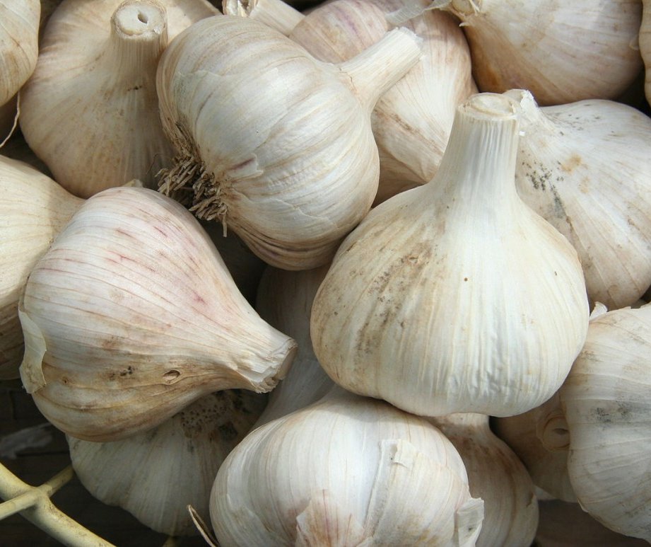 How garlic cure hemorrhoids?