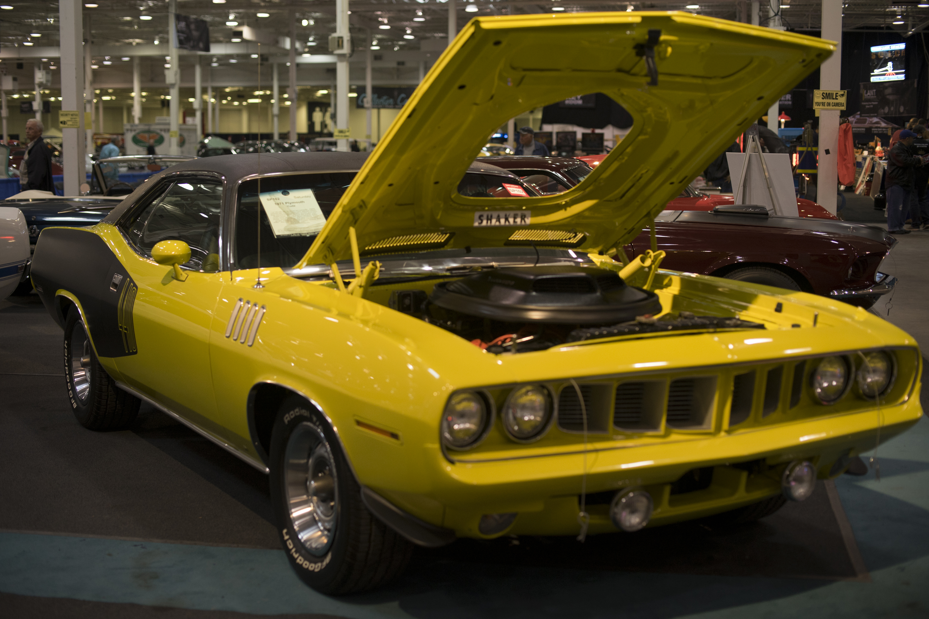 Ultra Rare Superbird Goes on the Block at the Toronto Fall