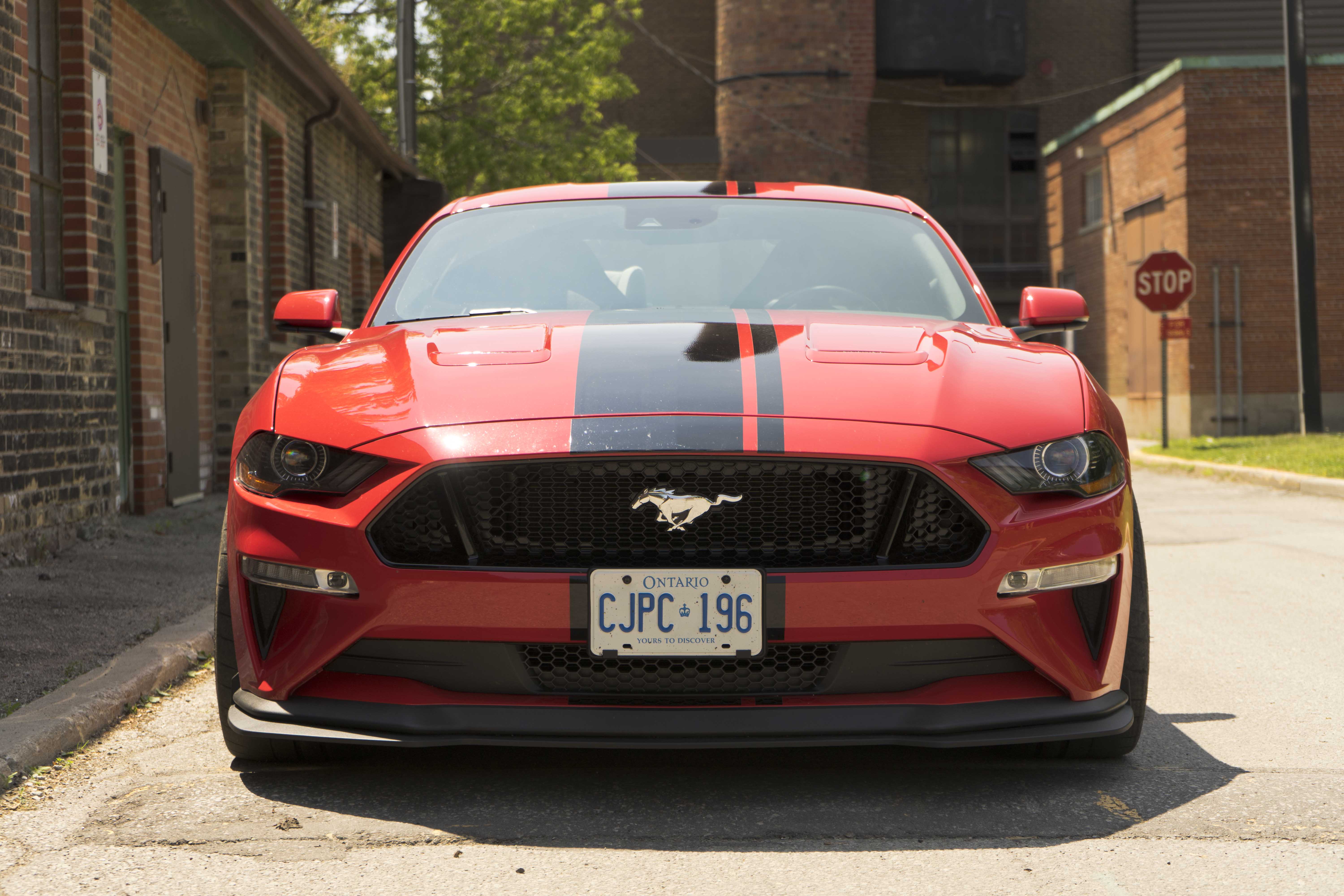 Ford mustang gt 2019