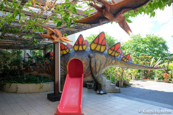 Best Time to go to Okinawa, Okinawa , Japan