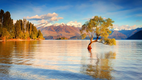 Best Time to go to Wanaka, Otago , New Zealand