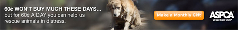 Join the fight to rescue animals from abuse - support ASPCA