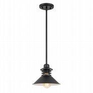 Robby 1-Light Black Finish Mini Pendant 9“ x9”x 6.63“