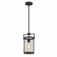 Cooper 1-Light Guilded Iron & Seaside Oak Mini Pendant 6.25“ x7.5”x 12.38“