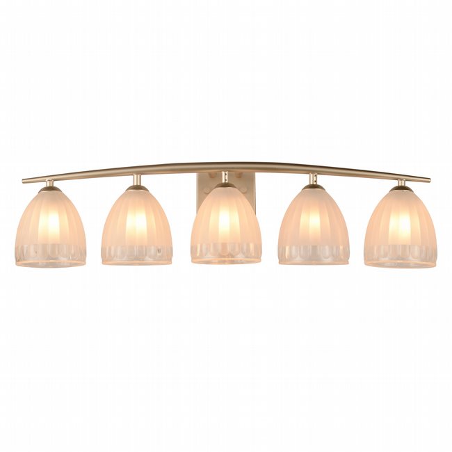 w23463mn30 Blossom 5 Light Matte Nickel Finish G9 Wall Sconce - Discontinued
