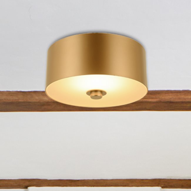 w33840mg9 Millie 1 Light Matte Gold Finish LED Ceiling Light