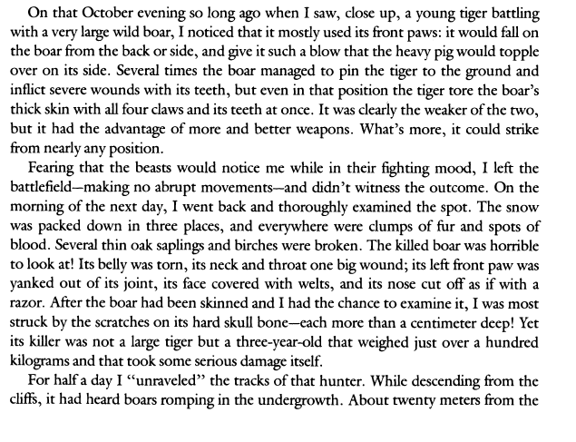 Siberian Tiger Vs Ussuri Wild Boar Page 5 Bestiary