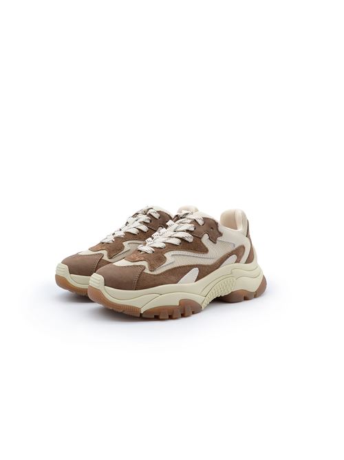 SNEAKER ADDICT ASH | ADDICTCRFANDANGO