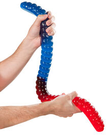 World's Largest Gummy Worm