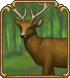 hunting_TREE.png