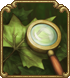 observation_TREE.png