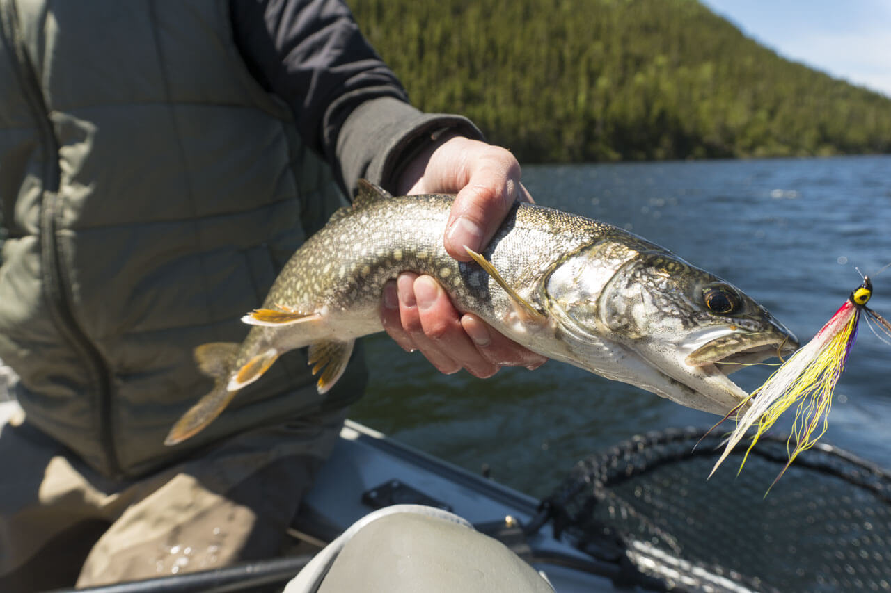 The secrets of fishing for lake trout Sépaq
