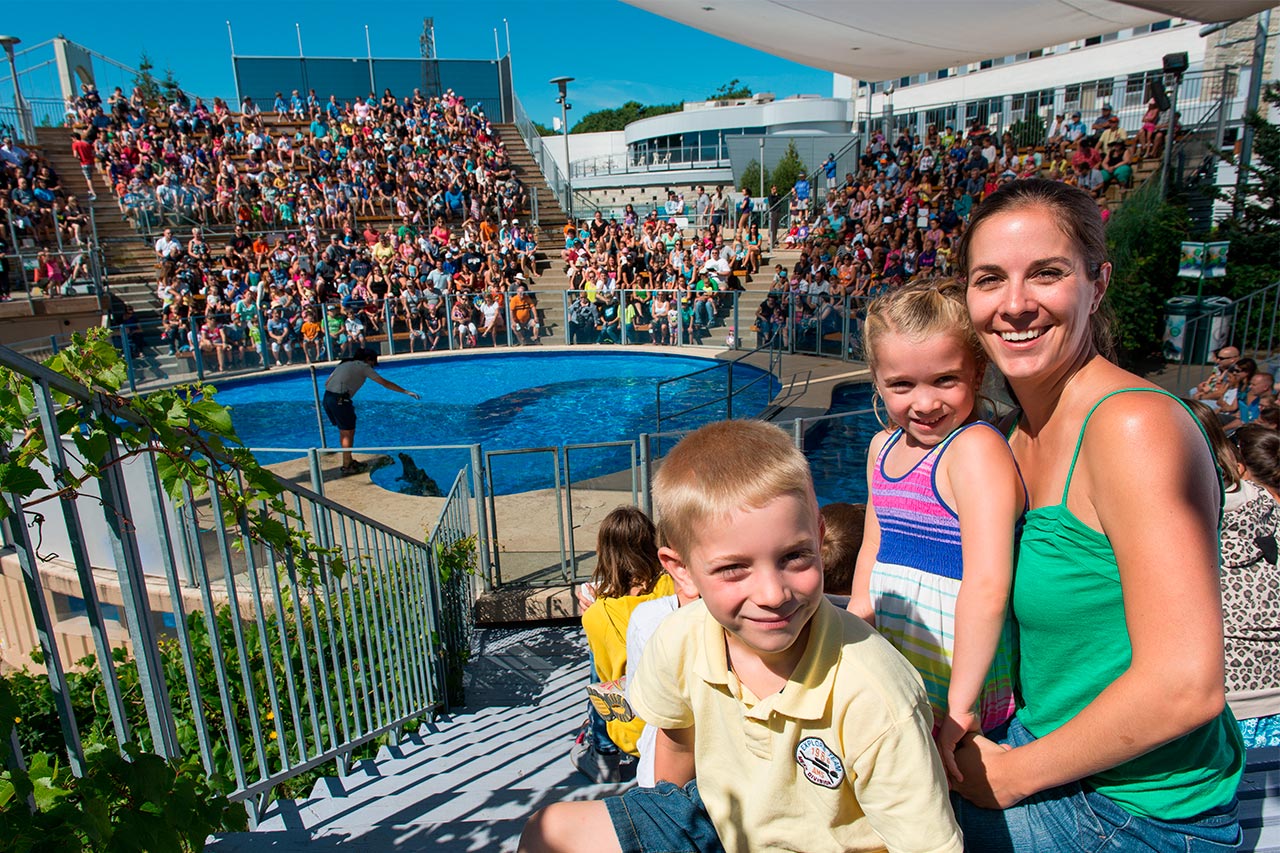 Aquarium Du Quebec Outdoor Family Activities Sepaq