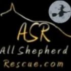 ASR Logo