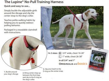 lupine no pull harness