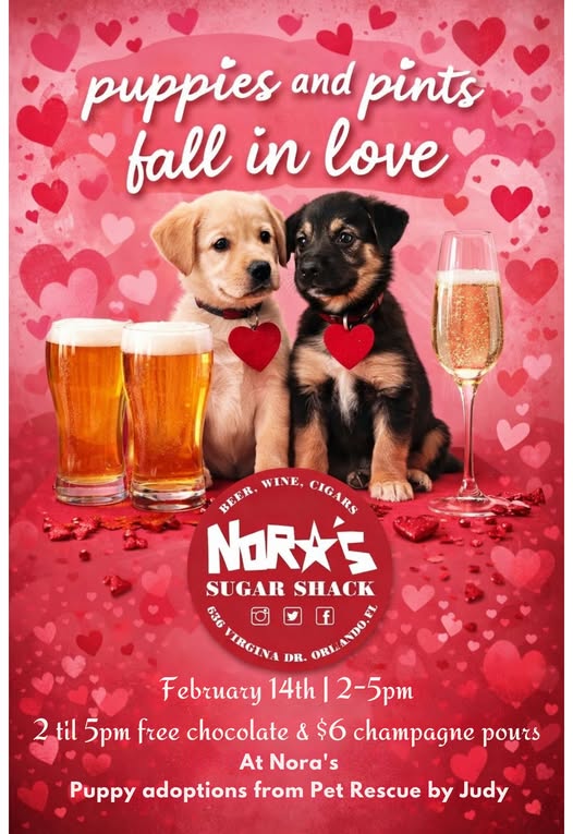 2.14.26 Nora's flyer