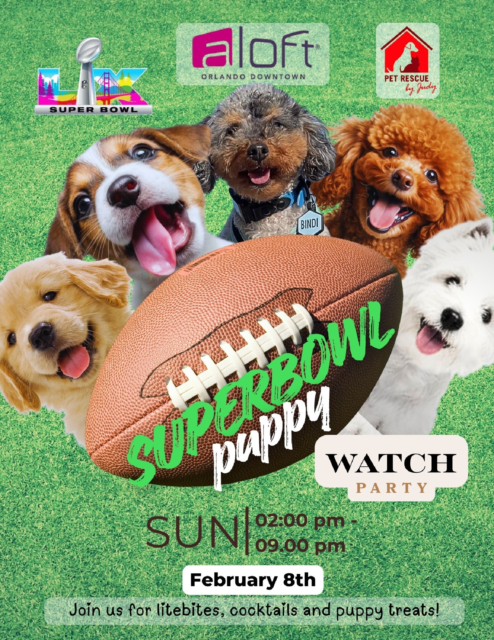 2026 Superbowl Watch Party