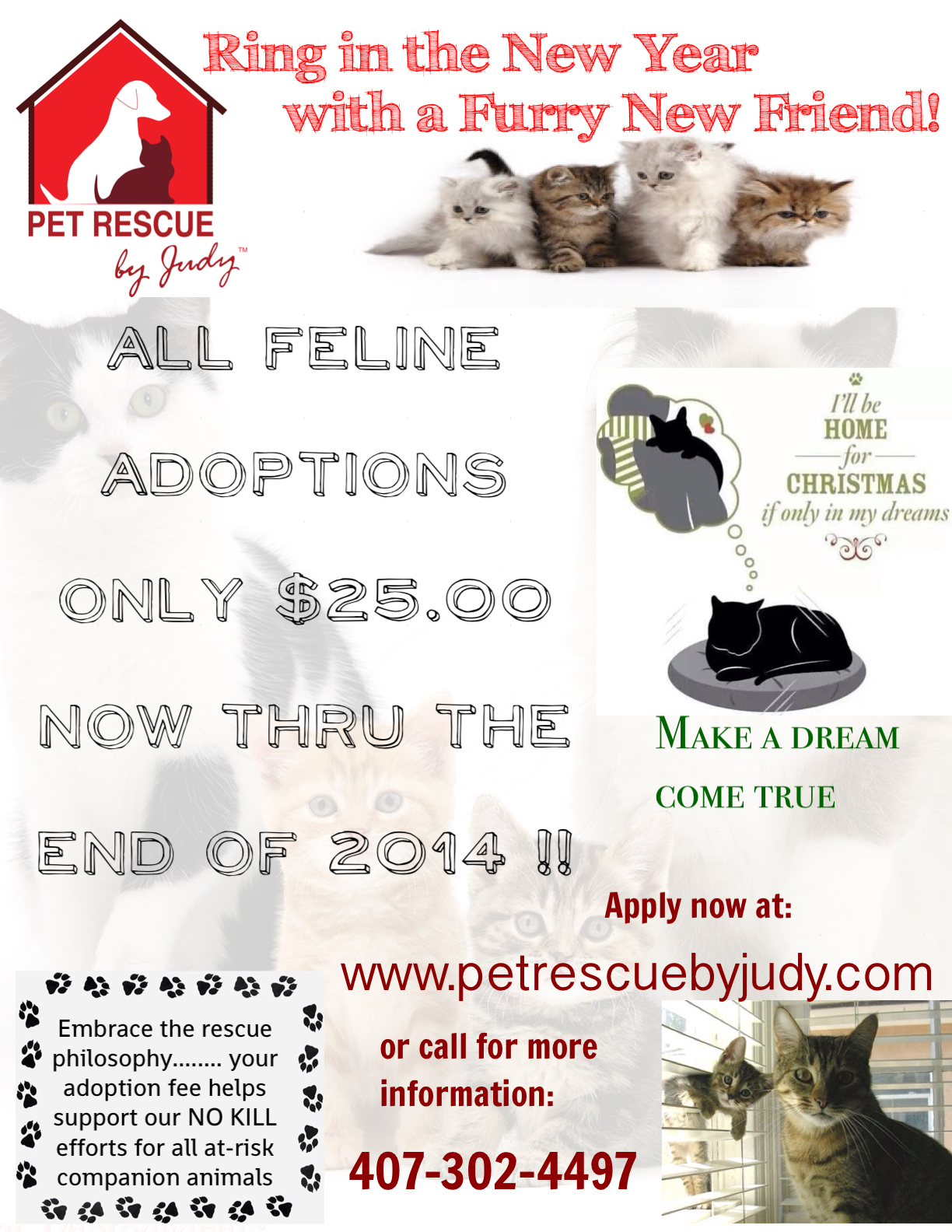 to Pet Rescue By Judy