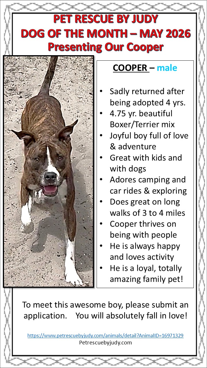 May 2026 dog of month