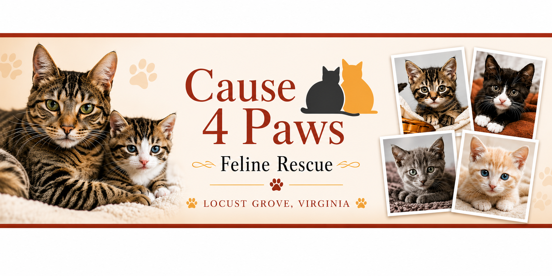 Cause 4 Paws Feline Rescue