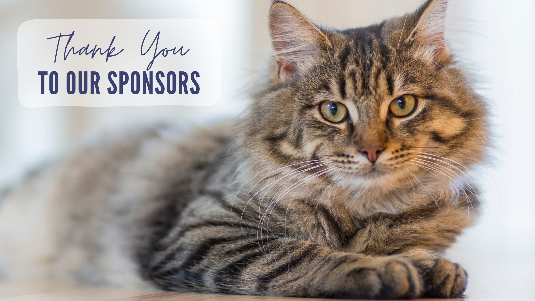 Sponsor Banner