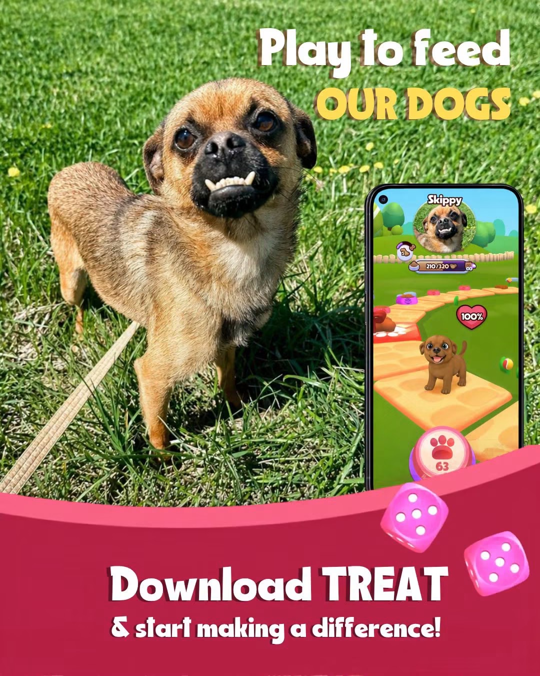Help support Making Miracles Animal Rescue through the Treat App