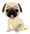 Pug Pug