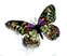 butterfly-fp butterfly-fp