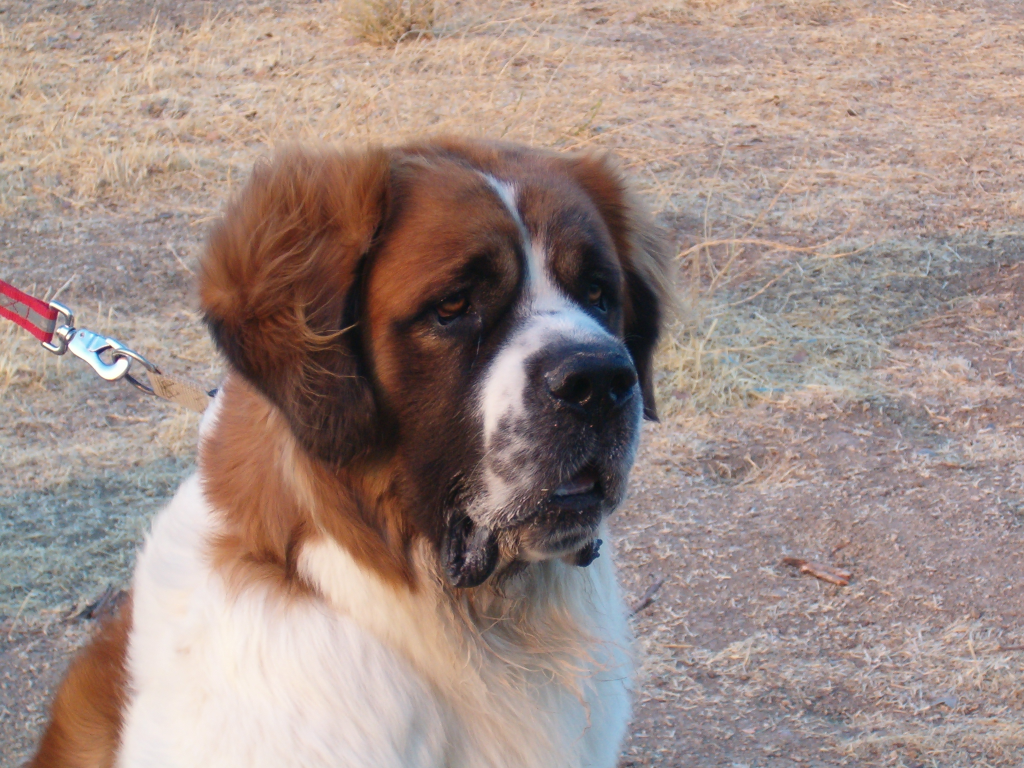AXLE AXLE