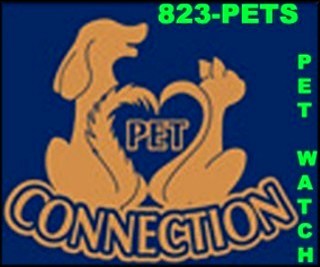 logo logo