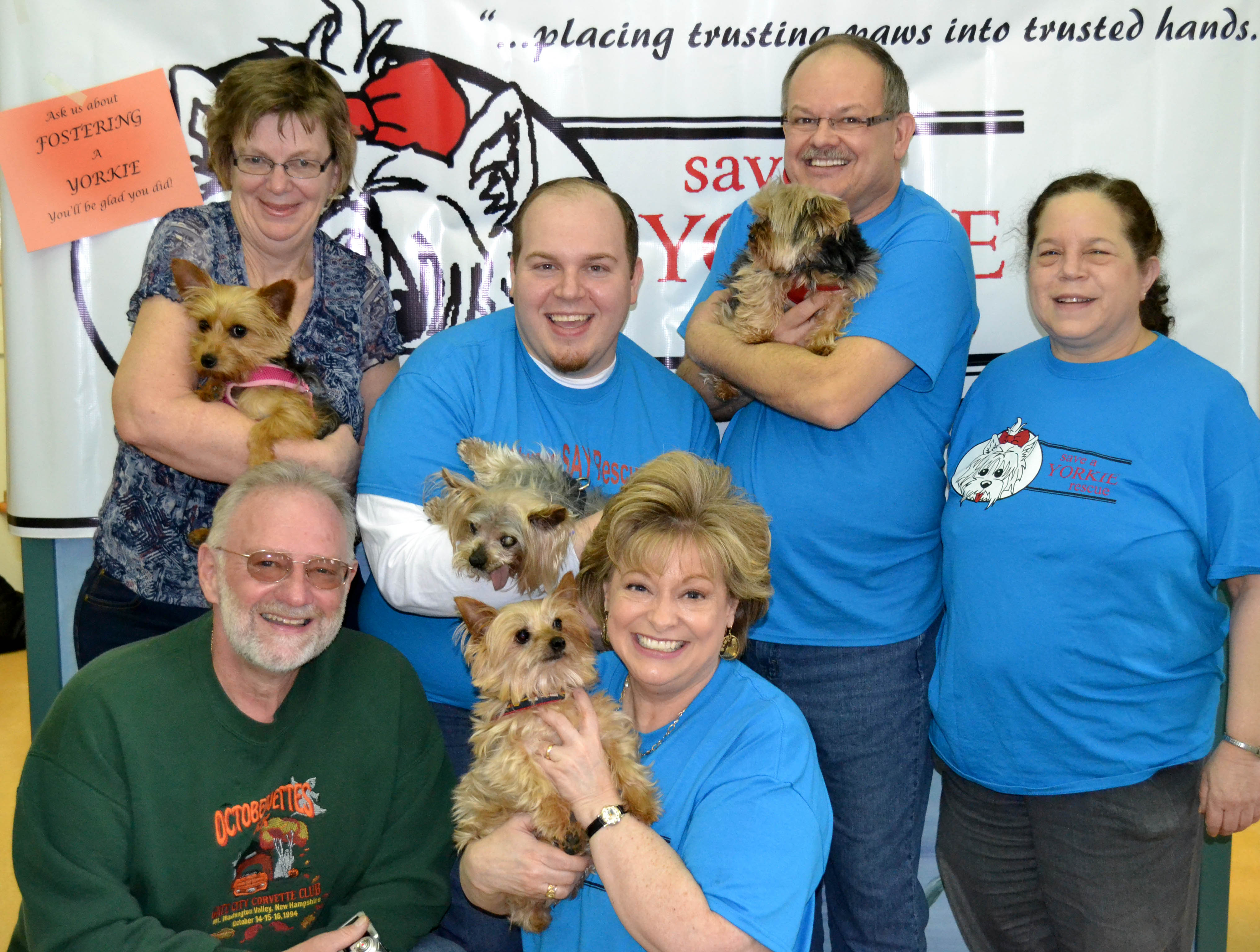 save a yorkie welcome save a yorkie rescue save a yorkie welcome save a yorkie rescue