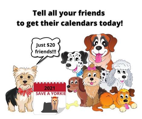 Calendar2021 Calendar2021