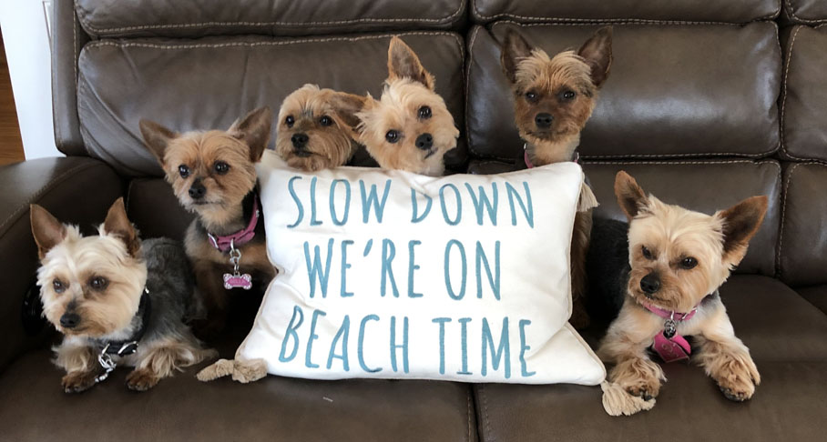 Beach Time 2 Beach Time 2