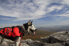 Hiking Hiking