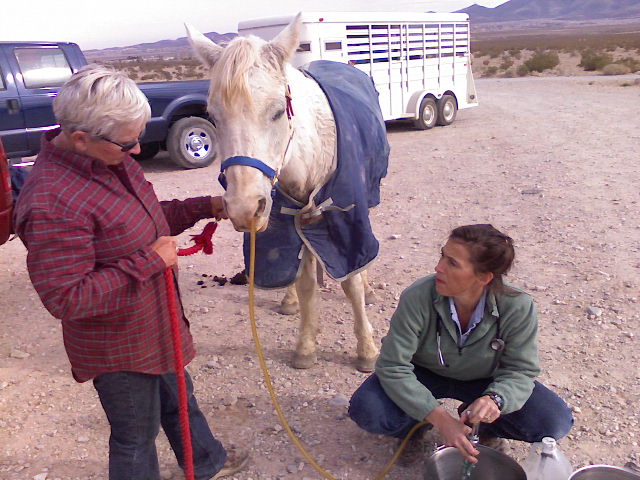 Vet Care 1