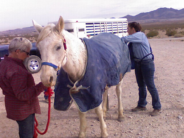 Vet Care 2
