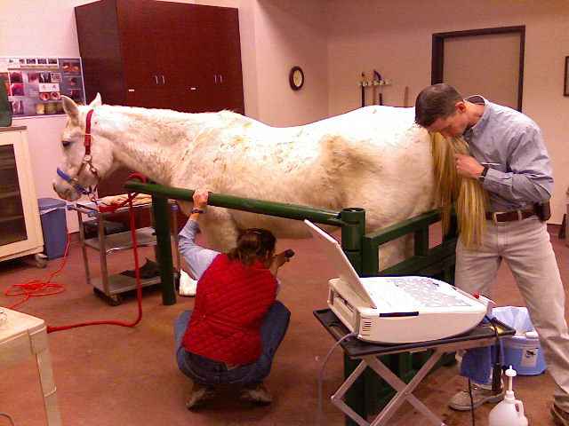 Vet Care 3b