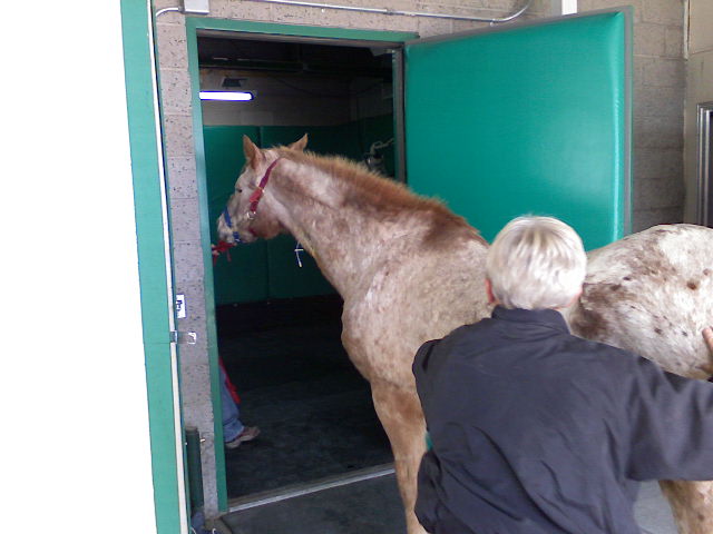 Vet Care 6