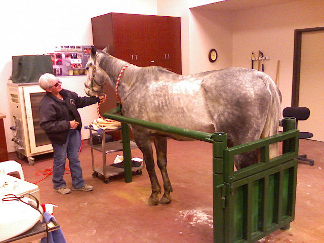 Vet Care 12