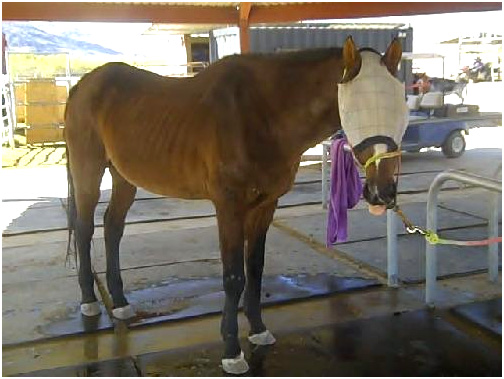 Laramie bath