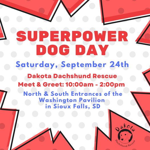 SuperPower Dog Day M & G