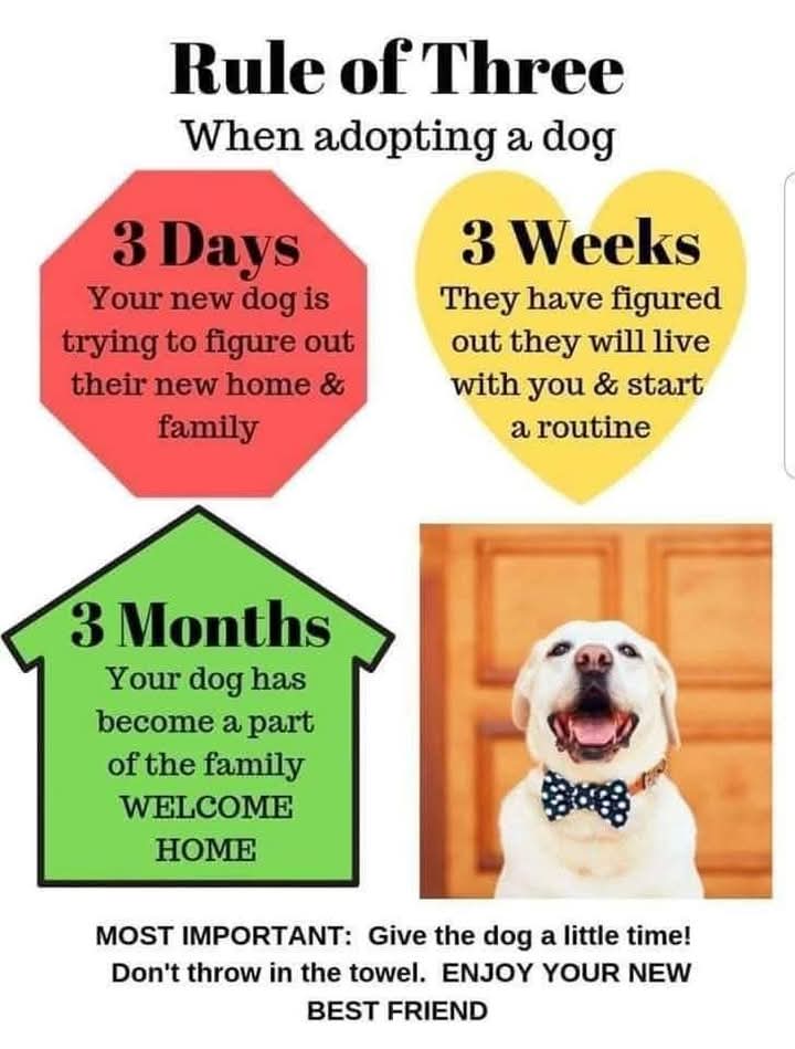 Rules of 3 3 3