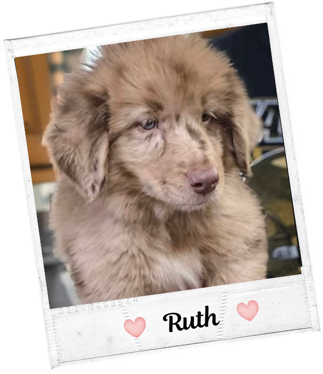 Ruth