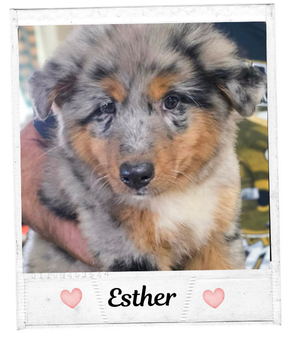 Esther