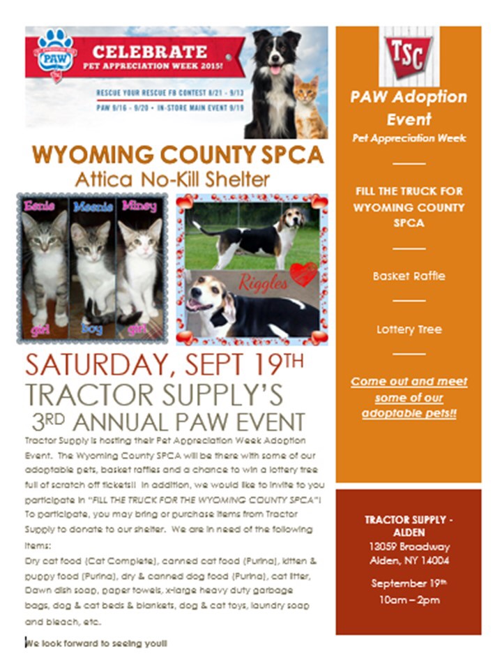 cat wormer at tractor supply