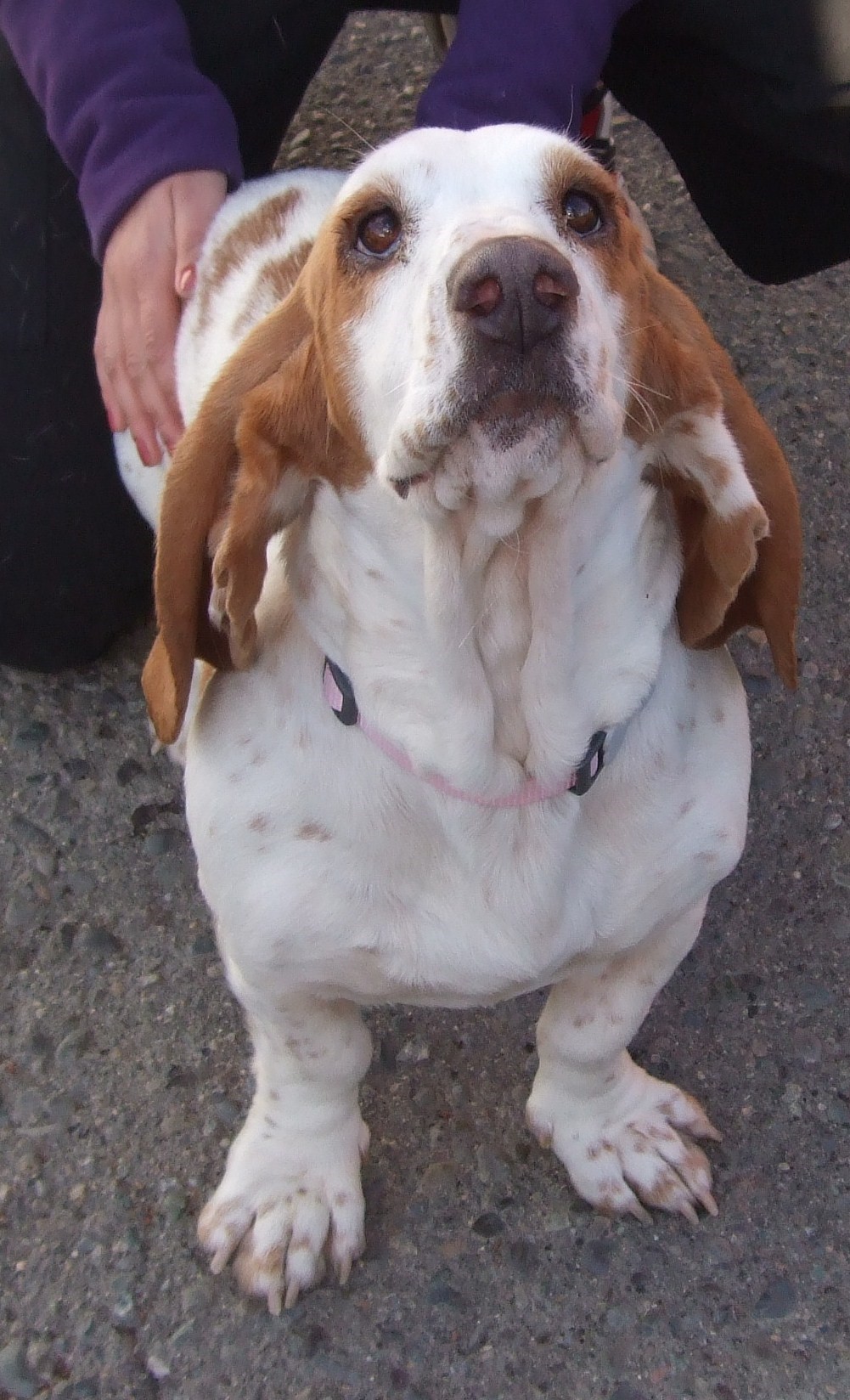 Chloe_annual appeal 2014