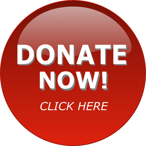 Red Donate Button